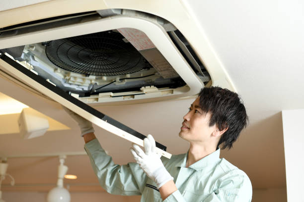 Best Air Duct Mold Removal  in Elizabethtown, PA